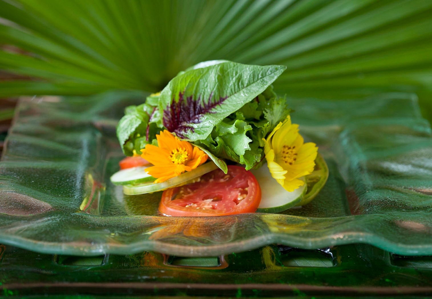 Artful food photography — garden salad on a leaf-shaped glass plate